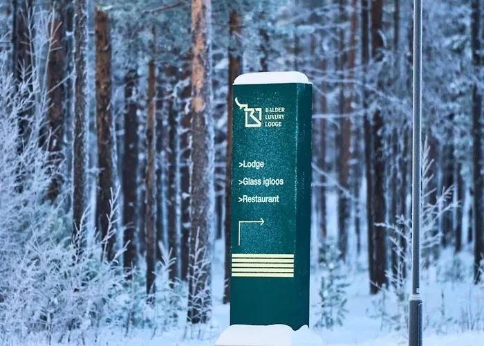 Balder Luxury & Glass Igloos Hotell Levi